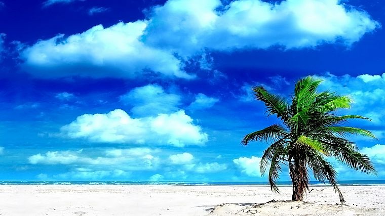 clouds, sand, islands, palm trees, beaches - desktop wallpaper
