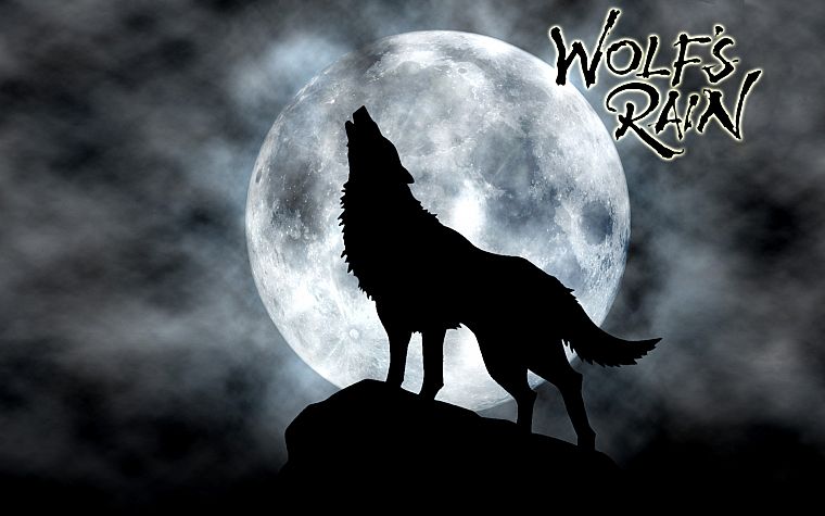 Wolfs Rain, anime - desktop wallpaper