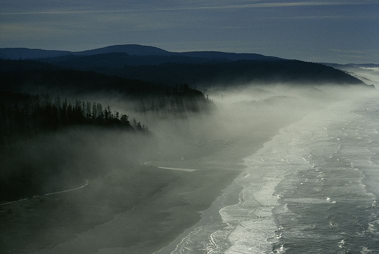 landscapes, fog, California, Pices, beaches - desktop wallpaper
