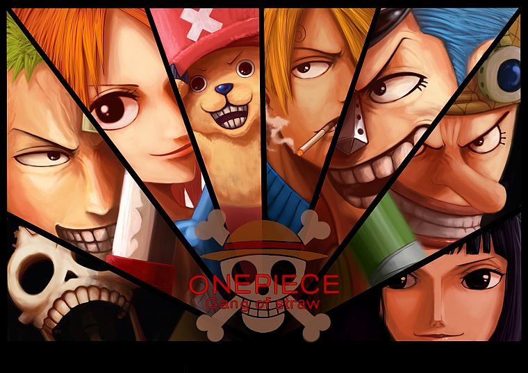 One Piece (anime), Nico Robin, Roronoa Zoro, Franky (One Piece), Tony Tony Chopper, Brook (One Piece), Nami (One Piece), Sanji (One Piece), Ussop - desktop wallpaper