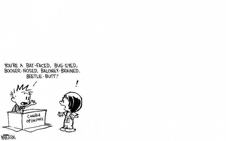comics, Calvin and Hobbes - desktop wallpaper