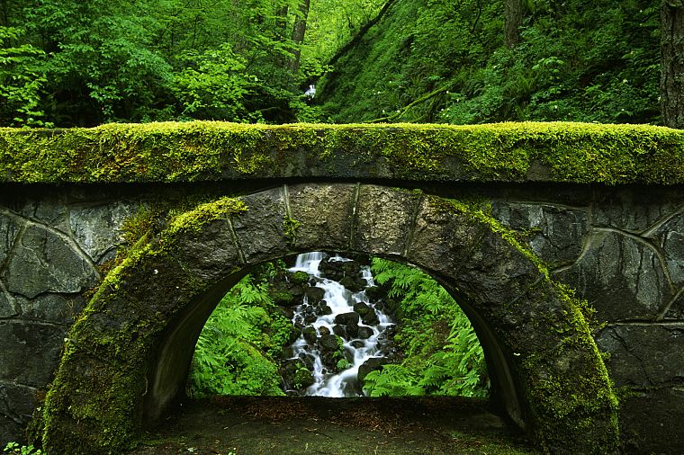 bridges, streams, moss - desktop wallpaper