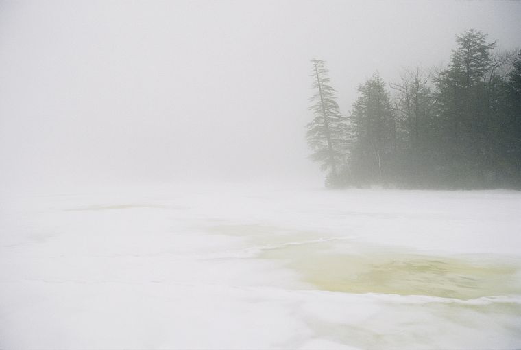 winter, fog - desktop wallpaper