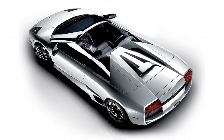 cars, Lamborghini, vehicles, white background - desktop wallpaper