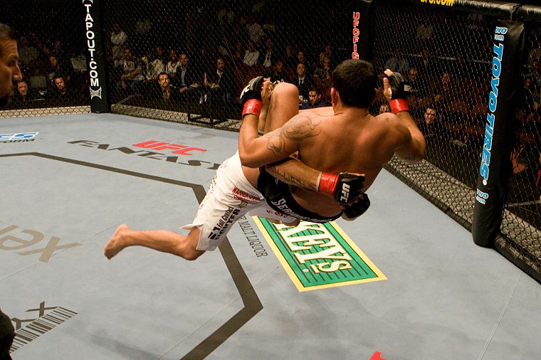 UFC - desktop wallpaper