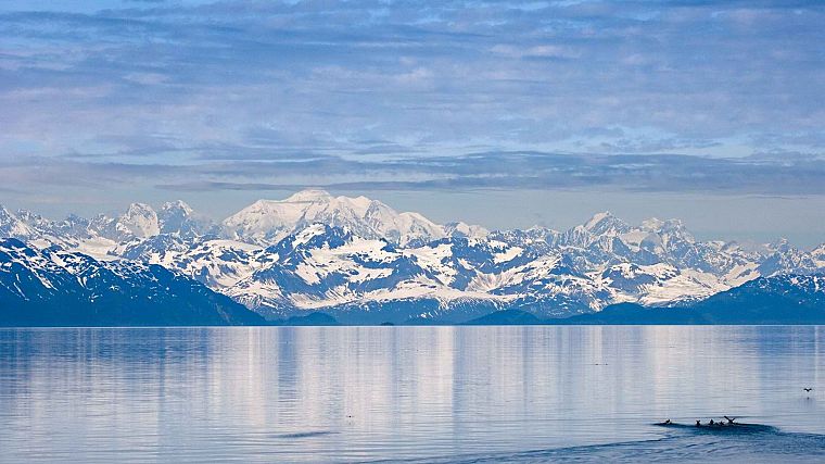 Alaska, glacier, National Park, bay - desktop wallpaper