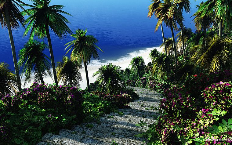 water, paths, stairways, palm trees - desktop wallpaper