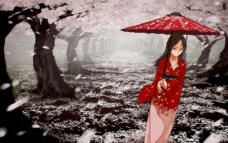 cherry blossoms, umbrellas, Japanese clothes - desktop wallpaper