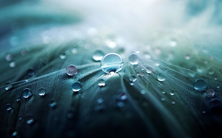 nature, water drops - desktop wallpaper