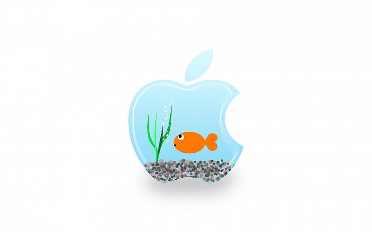 Apple Inc., fish tank - desktop wallpaper