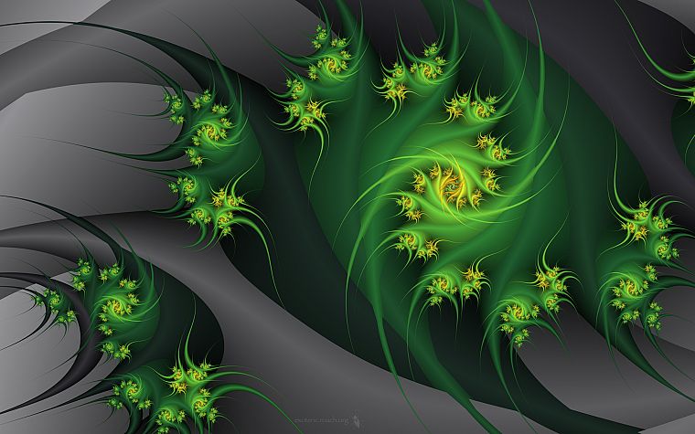 green, abstract, flowers, gray, fractals, embrace - desktop wallpaper