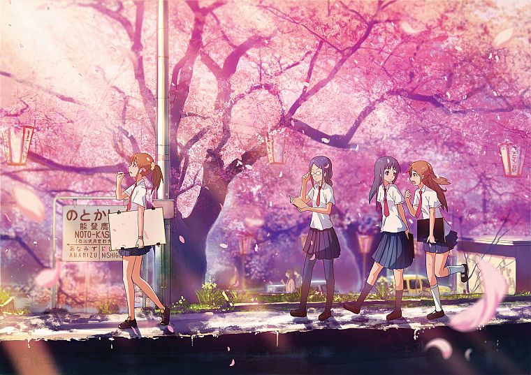 cherry blossoms, school uniforms, outdoors, flower petals, anime girls - desktop wallpaper