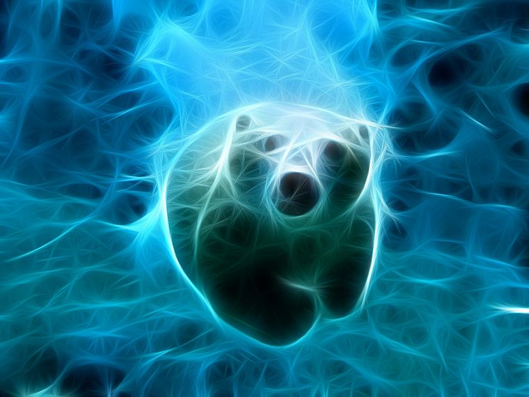 water, blue, animals, Fractalius, swimming, polar bears - desktop wallpaper