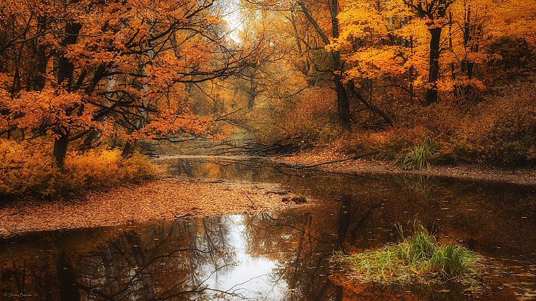 water, landscapes, nature, trees, autumn, forests, rivers - desktop wallpaper