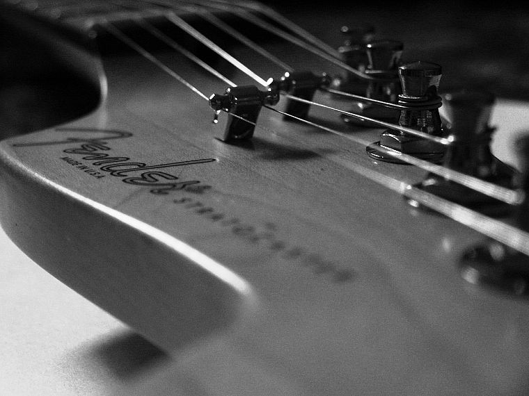 Fender Grayscale Guitars Monochrome Macro Fender Stratocaster Free Wallpaper Wallpaperjam Com