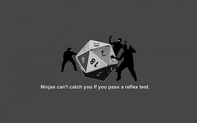 ninjas, dice, ninjas cant catch you if, Dungeons and Dragons - desktop wallpaper