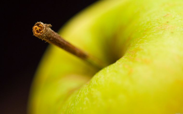 fruits, macro, apples - desktop wallpaper