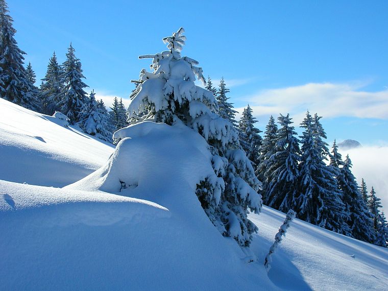 mountains, nature, snow, forests, snow landscapes - desktop wallpaper