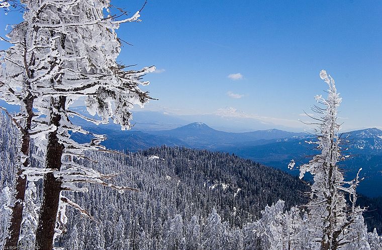 mountains, landscapes, nature, winter, snow, forests - desktop wallpaper