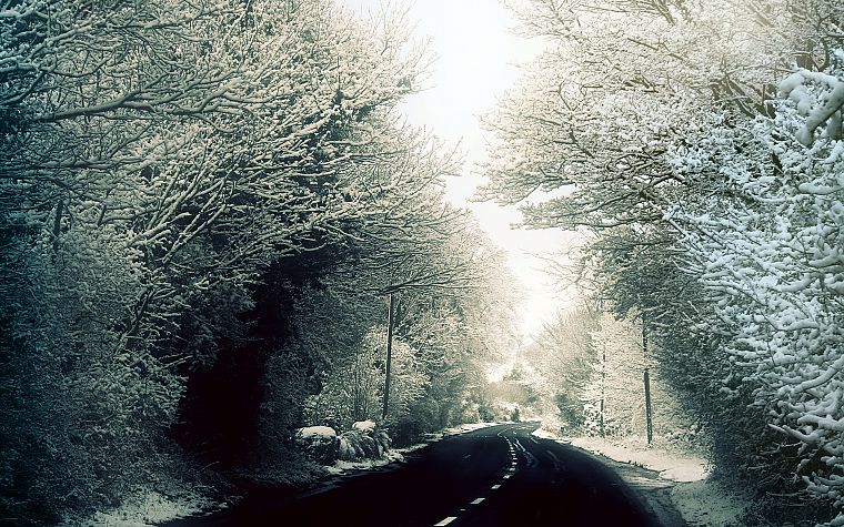 winter, snow, trees, woods, roads, George Harrison - desktop wallpaper