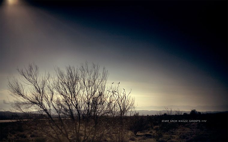 landscapes, Nine Inch Nails, ghosts, bushes - desktop wallpaper