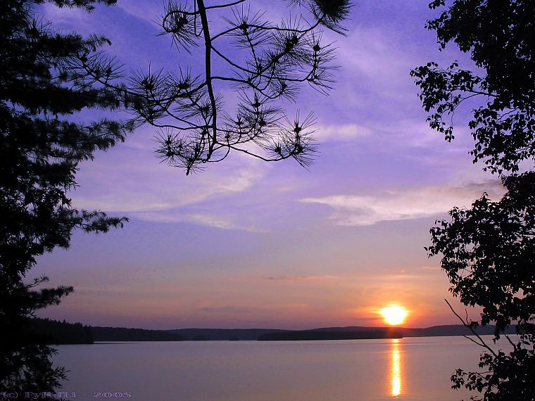 water, sunset, nature, trees, reflections - desktop wallpaper