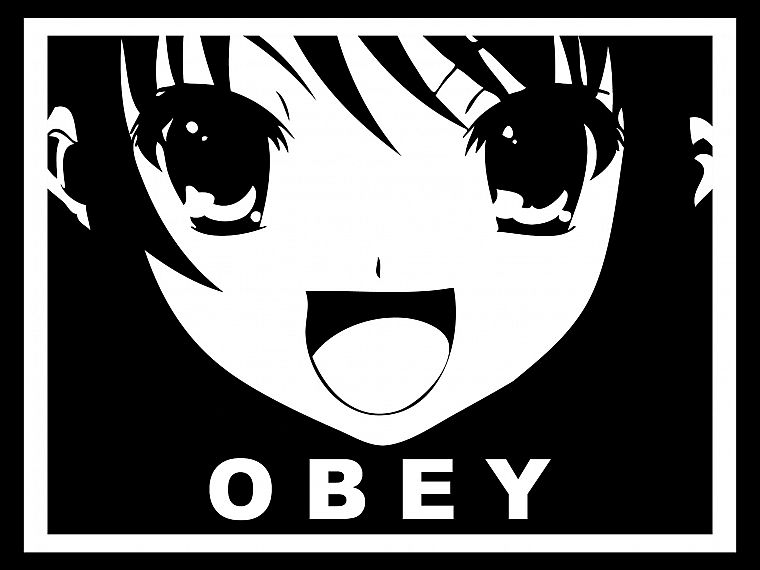 obey, Suzumiya Haruhi - desktop wallpaper