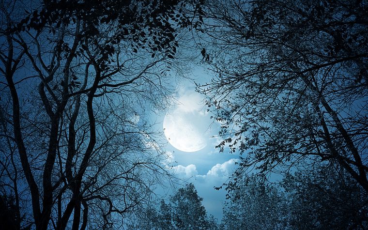 Moon, skyscapes - desktop wallpaper