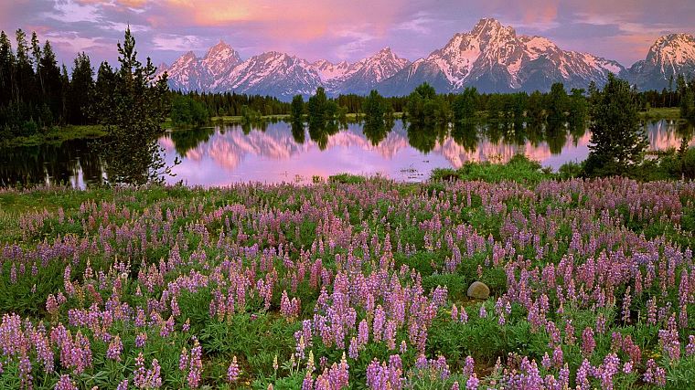 light, sunrise, Pilgrim, Wyoming, Grand Teton National Park, National Park - desktop wallpaper