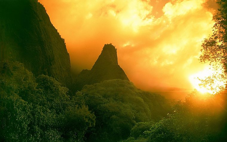 mountains, nature, jungle - desktop wallpaper