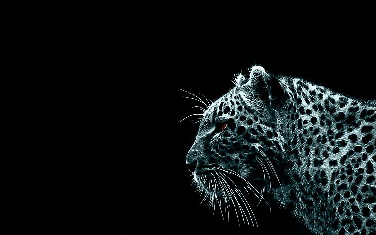 cheetahs - desktop wallpaper
