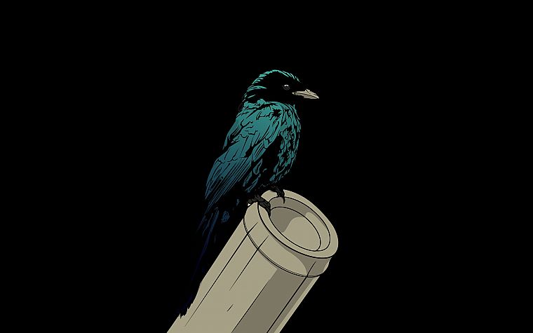birds, bamboo, black background - desktop wallpaper
