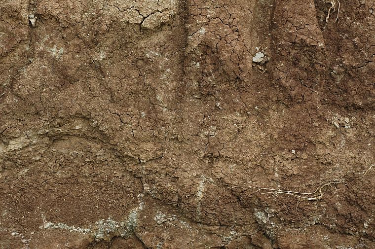 textures, soil - desktop wallpaper