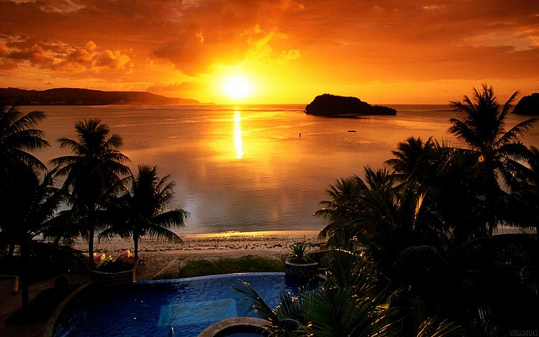 sunset, sunrise, Sun, palm trees, swimming pools - desktop wallpaper