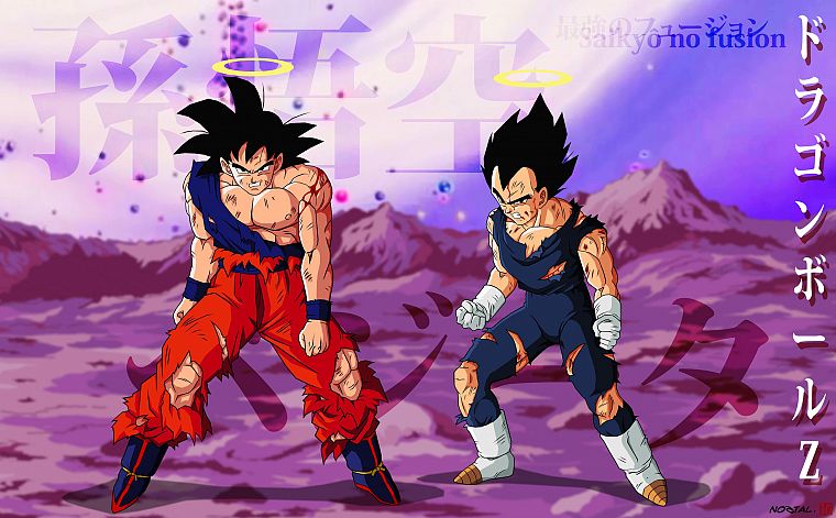 Vegeta, Goku, Dragon Ball Z - desktop wallpaper