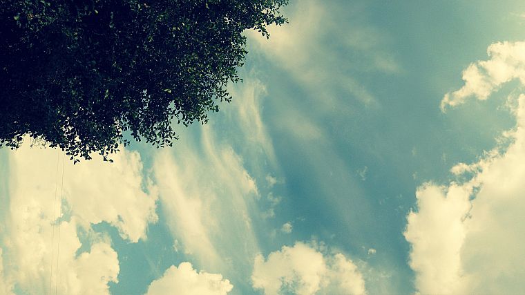 clouds, trees - desktop wallpaper