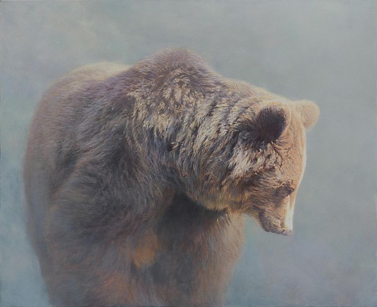 fog, bears, HDR photography, mammals - desktop wallpaper