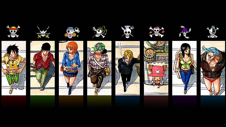 One Piece (anime), Nico Robin, pirates, Roronoa Zoro, chopper, straw hat, Monkey D Luffy, Nami (One Piece), Sanji (One Piece), Ussop - desktop wallpaper
