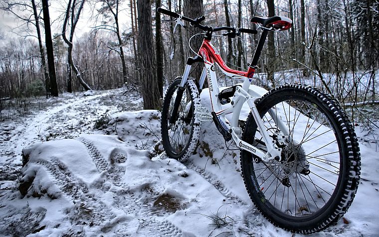 snow, bike, bicycles, woods - desktop wallpaper