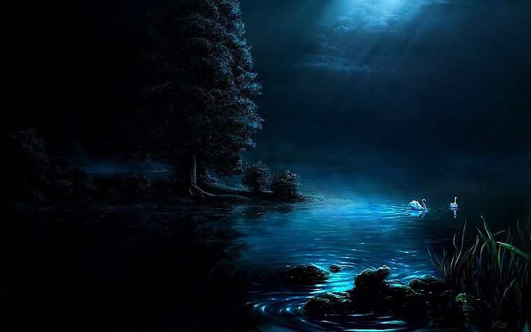 nature, night, swans, artwork - desktop wallpaper