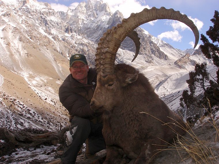 mountains, animals, wildlife, horns, Pakistan, ibex - desktop wallpaper