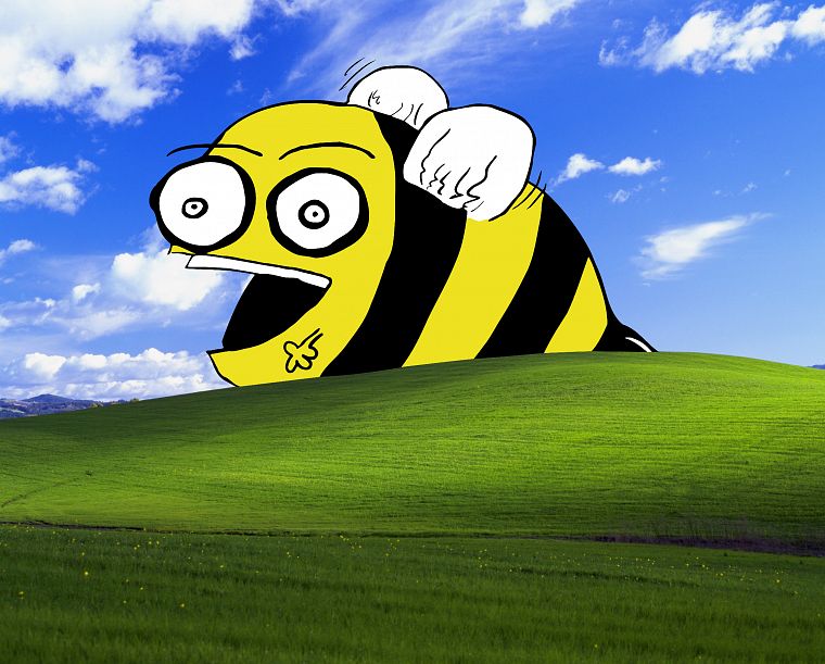 bees - desktop wallpaper