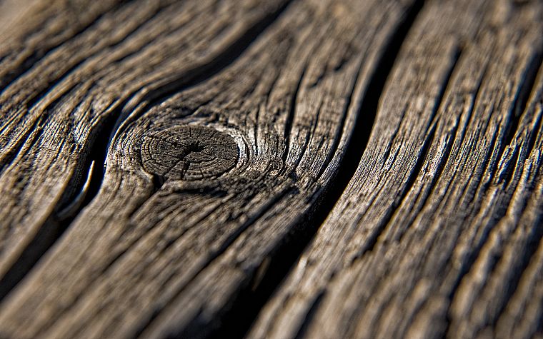 close-up, wood - desktop wallpaper