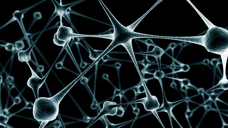 abstract, neurons - desktop wallpaper