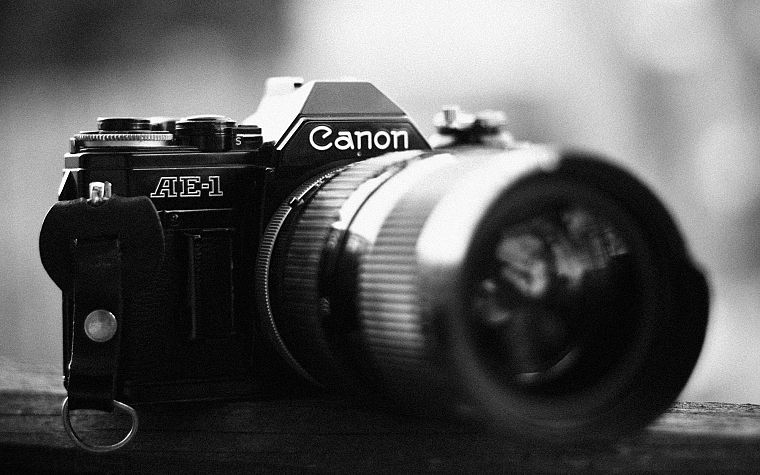 cameras, grayscale, Canon - desktop wallpaper
