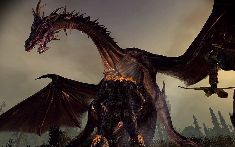 screenshots, Dragon Age - desktop wallpaper