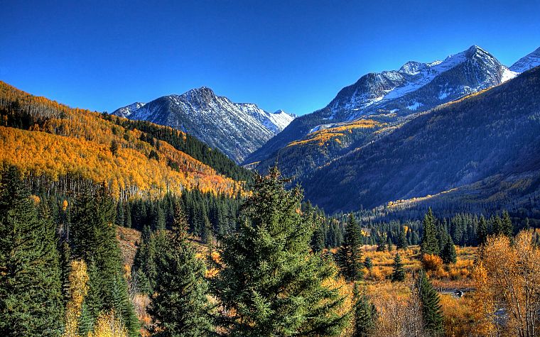 green, mountains, nature, autumn, yellow, Evergreen, skyscapes - desktop wallpaper