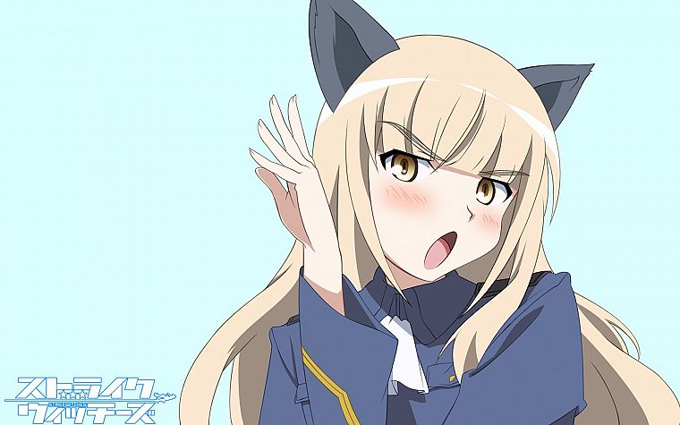 blondes, Strike Witches, uniforms, army, military, text, long hair, nekomimi, animal ears, yellow eyes, blush, open mouth, Perrine H. Clostermann, simple background, anime girls, blue background - desktop wallpaper