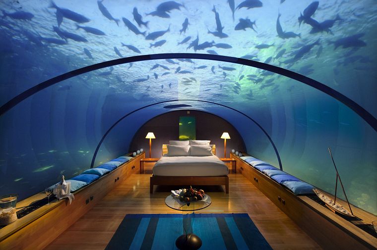 beds, fish, pillows, underwater, interior design - desktop wallpaper