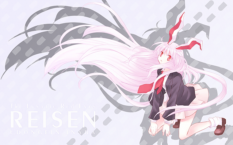 Touhou, tie, long hair, shadows, bunny girls, animal ears, Reisen Udongein Inaba, white hair, bunny ears, anime girls - desktop wallpaper